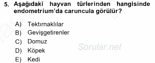 Temel Veteriner Anatomi 2015 - 2016 Dönem Sonu Sınavı 5.Soru