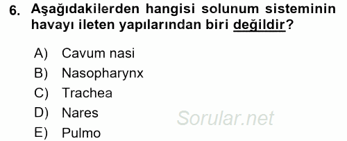 Temel Veteriner Anatomi 2015 - 2016 Dönem Sonu Sınavı 6.Soru