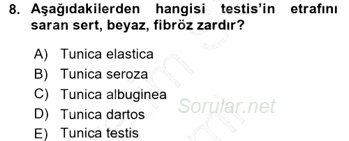 Temel Veteriner Anatomi 2015 - 2016 Dönem Sonu Sınavı 8.Soru