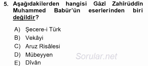 Orta Asya Türk Tarihi 2016 - 2017 Dönem Sonu Sınavı 5.Soru