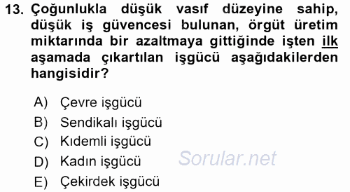 Yeni Teknolojiler ve Çalışma Hayatı 2015 - 2016 Dönem Sonu Sınavı 13.Soru