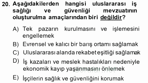 İş Sağlığı ve Güvenliği 2014 - 2015 Tek Ders Sınavı 20.Soru