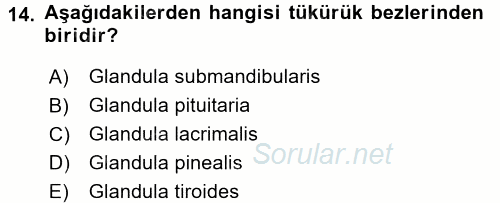 Hijyen ve Sanitasyon 2017 - 2018 Ara Sınavı 14.Soru