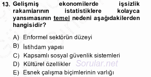 İstihdam ve İşsizlik 2013 - 2014 Dönem Sonu Sınavı 13.Soru