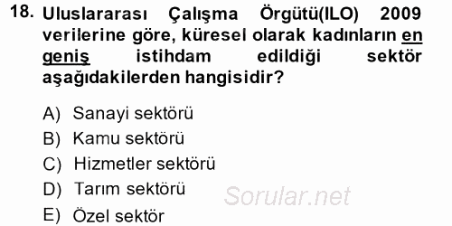 İstihdam ve İşsizlik 2013 - 2014 Dönem Sonu Sınavı 18.Soru