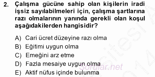 İstihdam ve İşsizlik 2013 - 2014 Dönem Sonu Sınavı 2.Soru