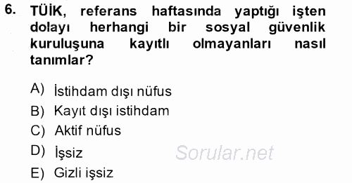 İstihdam ve İşsizlik 2013 - 2014 Dönem Sonu Sınavı 6.Soru