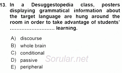 İngilizce Öğretiminde Yaklaşımlar 2015 - 2016 Ara Sınavı 13.Soru