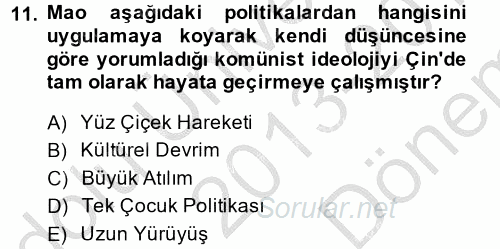 Gelişmekte Olan Ülkelerde Siyaset 2013 - 2014 Dönem Sonu Sınavı 11.Soru