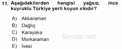 Hayvan Yetiştirme 2016 - 2017 3 Ders Sınavı 11.Soru