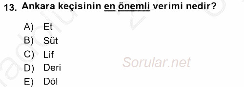 Hayvan Yetiştirme 2016 - 2017 3 Ders Sınavı 13.Soru