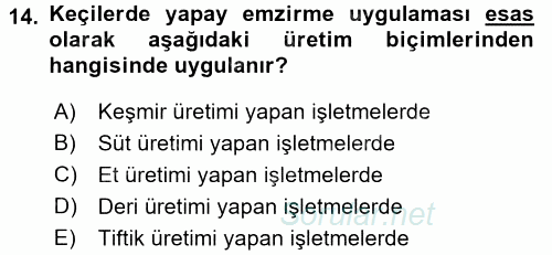 Hayvan Yetiştirme 2016 - 2017 3 Ders Sınavı 14.Soru