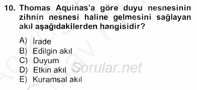 Zihin Felsefesi 2012 - 2013 Ara Sınavı 10.Soru