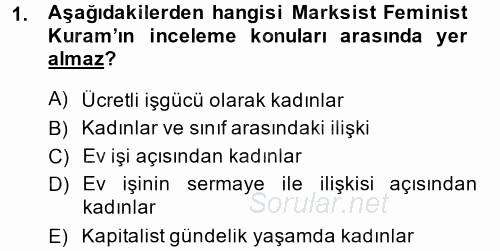 Çalışma Sosyolojisi 2014 - 2015 Dönem Sonu Sınavı 1.Soru