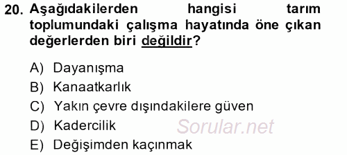 Çalışma Sosyolojisi 2014 - 2015 Dönem Sonu Sınavı 20.Soru