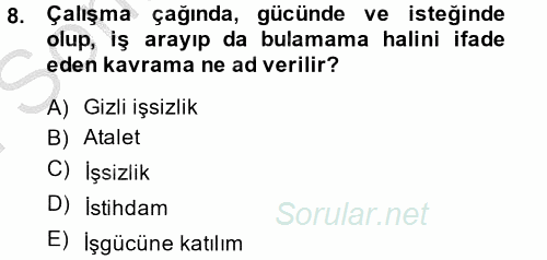 Çalışma Sosyolojisi 2014 - 2015 Dönem Sonu Sınavı 8.Soru