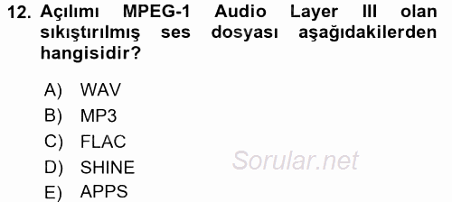 Film ve Video Kültürü 2015 - 2016 Dönem Sonu Sınavı 12.Soru