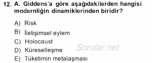 Sosyolojide Yakın Dönem Gelişmeler 2014 - 2015 Ara Sınavı 12.Soru