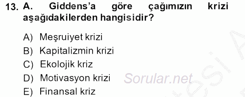 Sosyolojide Yakın Dönem Gelişmeler 2014 - 2015 Ara Sınavı 13.Soru