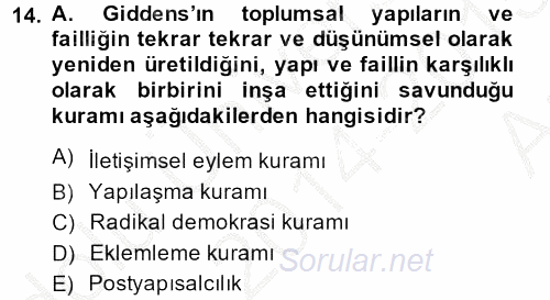Sosyolojide Yakın Dönem Gelişmeler 2014 - 2015 Ara Sınavı 14.Soru