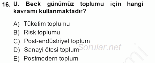 Sosyolojide Yakın Dönem Gelişmeler 2014 - 2015 Ara Sınavı 16.Soru