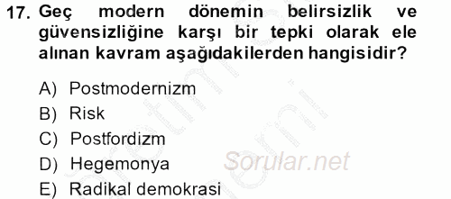Sosyolojide Yakın Dönem Gelişmeler 2014 - 2015 Ara Sınavı 17.Soru
