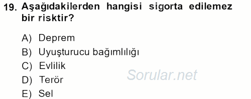 Sosyolojide Yakın Dönem Gelişmeler 2014 - 2015 Ara Sınavı 19.Soru