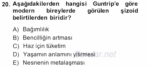 Sosyolojide Yakın Dönem Gelişmeler 2014 - 2015 Ara Sınavı 20.Soru