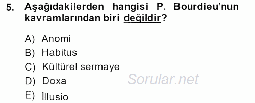 Sosyolojide Yakın Dönem Gelişmeler 2014 - 2015 Ara Sınavı 5.Soru