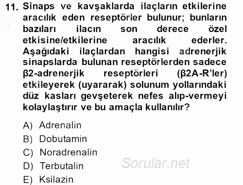 Temel Veteriner Farmakoloji ve Toksikoloji 2013 - 2014 Ara Sınavı 11.Soru