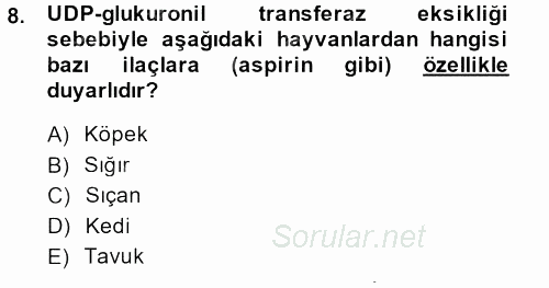 Temel Veteriner Farmakoloji ve Toksikoloji 2013 - 2014 Ara Sınavı 8.Soru