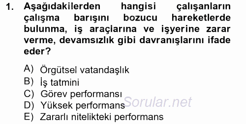 Performans Yönetimi 2014 - 2015 Tek Ders Sınavı 1.Soru