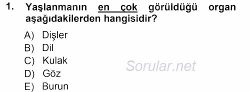 Yaşlı ve Hasta Bakım Hizmetleri 2012 - 2013 Ara Sınavı 1.Soru