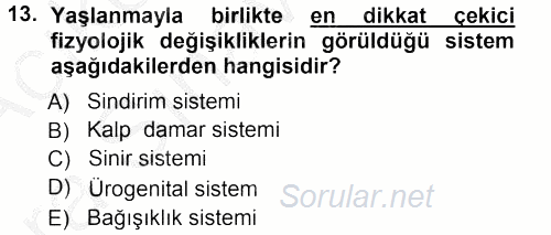 Yaşlı ve Hasta Bakım Hizmetleri 2012 - 2013 Ara Sınavı 13.Soru