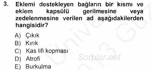 Yaşlı ve Hasta Bakım Hizmetleri 2012 - 2013 Ara Sınavı 3.Soru