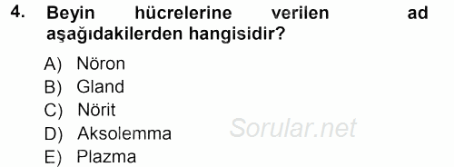 Yaşlı ve Hasta Bakım Hizmetleri 2012 - 2013 Ara Sınavı 4.Soru