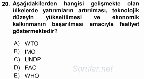 Uluslararası Ekonomik Kuruluşlar 2016 - 2017 Ara Sınavı 20.Soru