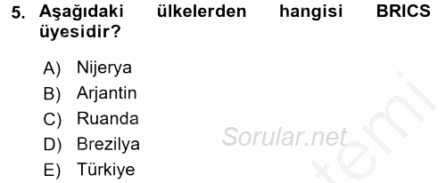 Uluslararası Ekonomik Kuruluşlar 2016 - 2017 Ara Sınavı 5.Soru