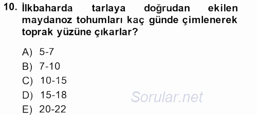 Bahçe Tarımı 2 2014 - 2015 Dönem Sonu Sınavı 10.Soru