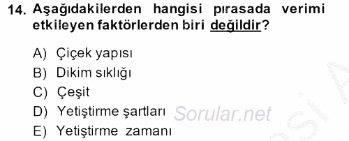 Bahçe Tarımı 2 2014 - 2015 Dönem Sonu Sınavı 14.Soru