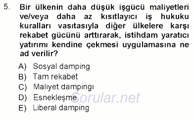 Sosyal Politika 2012 - 2013 Dönem Sonu Sınavı 5.Soru