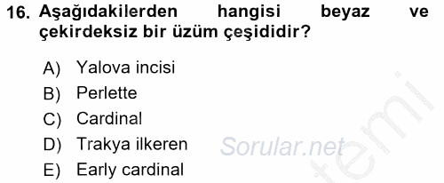 Örtü Altı Üretim Sistemleri 2016 - 2017 3 Ders Sınavı 16.Soru