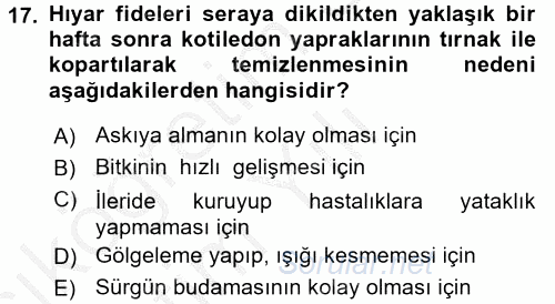 Örtü Altı Üretim Sistemleri 2016 - 2017 3 Ders Sınavı 17.Soru