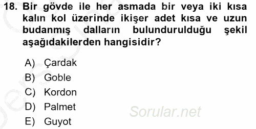 Örtü Altı Üretim Sistemleri 2016 - 2017 3 Ders Sınavı 18.Soru