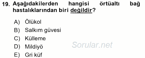 Örtü Altı Üretim Sistemleri 2016 - 2017 3 Ders Sınavı 19.Soru