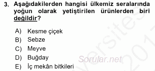 Örtü Altı Üretim Sistemleri 2016 - 2017 3 Ders Sınavı 3.Soru