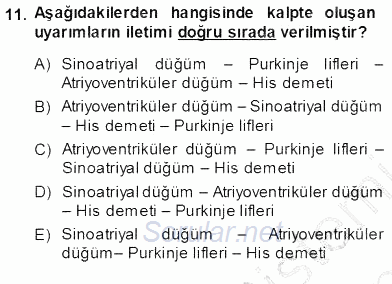 Temel Veteriner Fizyoloji 2013 - 2014 Ara Sınavı 11.Soru