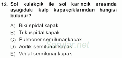 Temel Veteriner Fizyoloji 2013 - 2014 Ara Sınavı 13.Soru