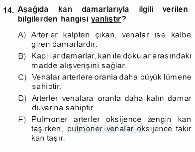 Temel Veteriner Fizyoloji 2013 - 2014 Ara Sınavı 14.Soru