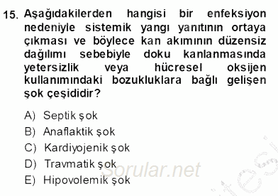 Temel Veteriner Fizyoloji 2013 - 2014 Ara Sınavı 15.Soru